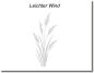 Preview: Glastürfolie leichter Wind Gras