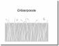 Preview: blickdichte-folie graeserpoesie.jpg