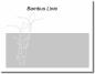 Preview: blickdichte Folie bambus as duenne linie