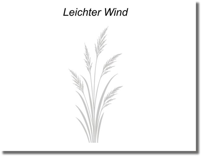 Glastürfolie leichter Wind Gras