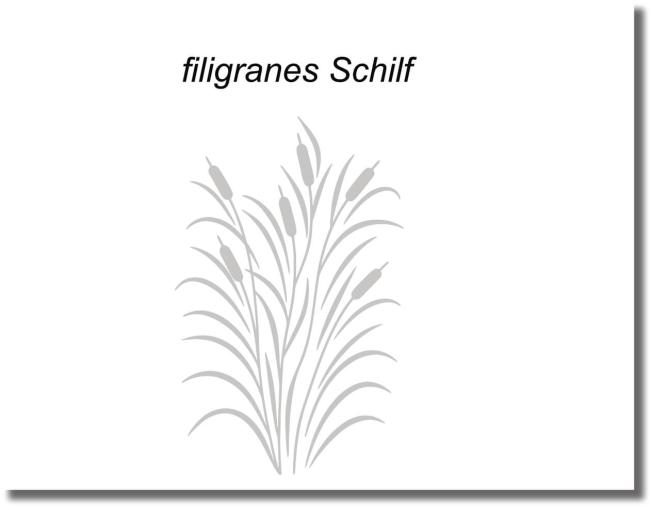 duschtuerfolie filigranes schilf