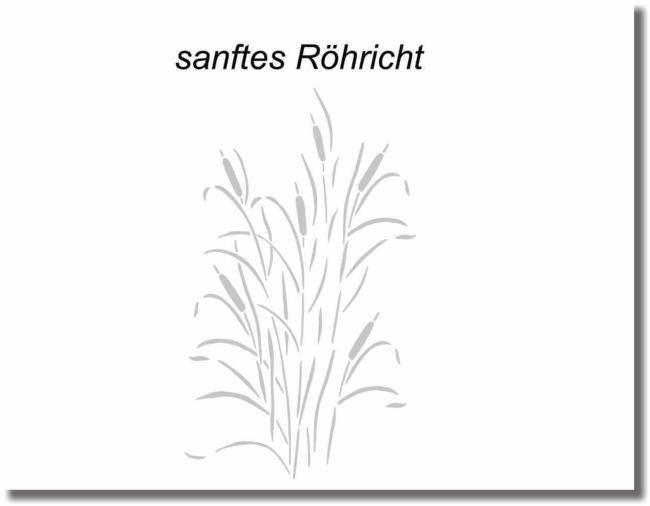 glasdekorfolie sanftes Röhricht Schilf