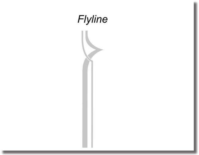 galstuerfolie flyline