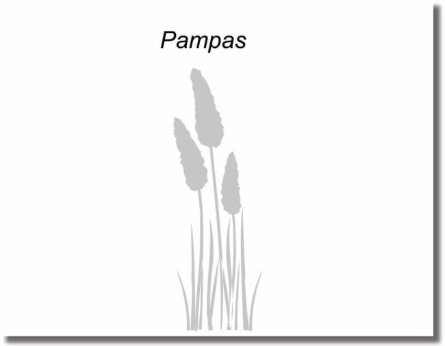 Glastürfolie pampas