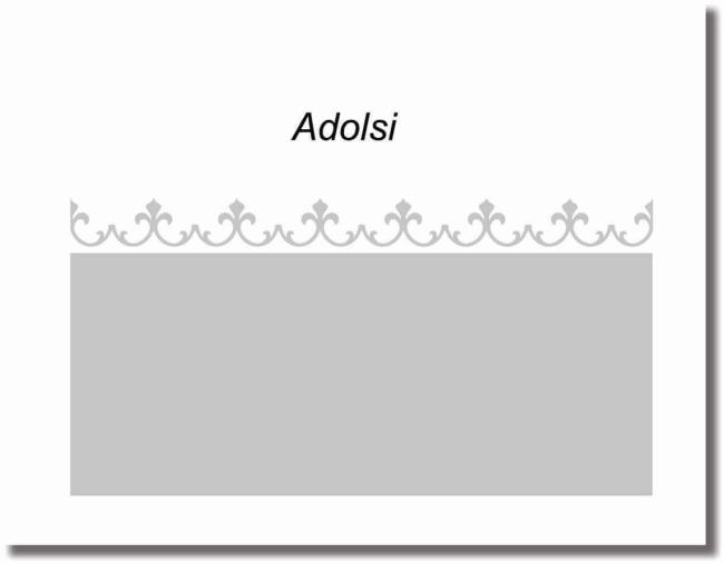 Fensterfolie Adolsi sichtschutz mit borduere