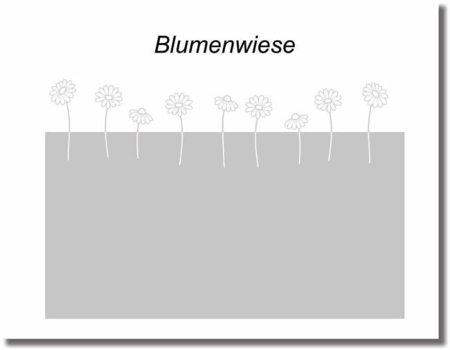 milchglasfolie-blumenwiese