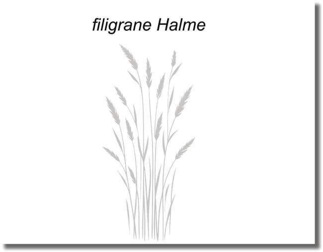 Glastürfolie  mit filigranen Grashalmen