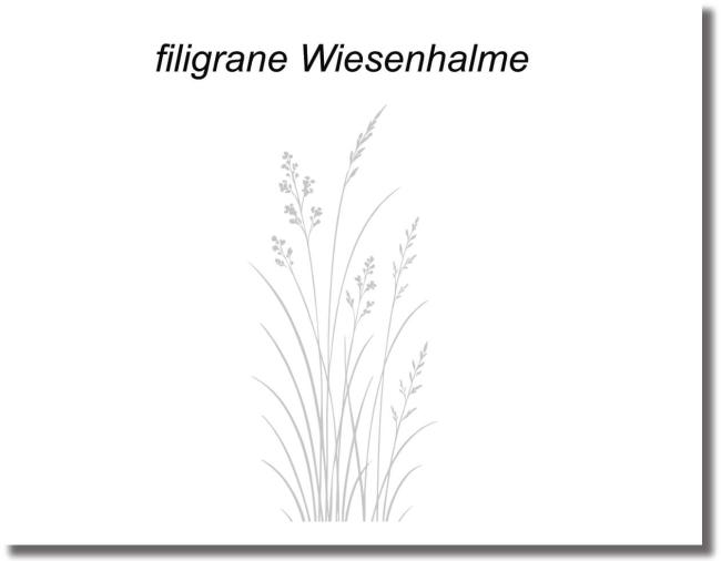 türschutzfolie  filigrane Wiesenhalme