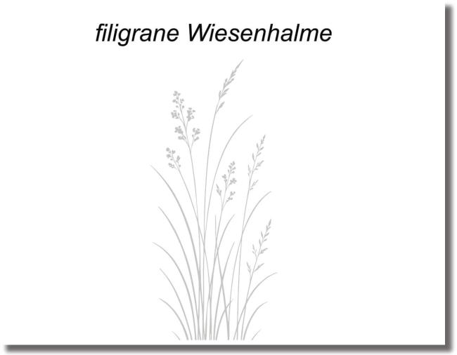 wandsticker filigrane wiesenhalme.jpg