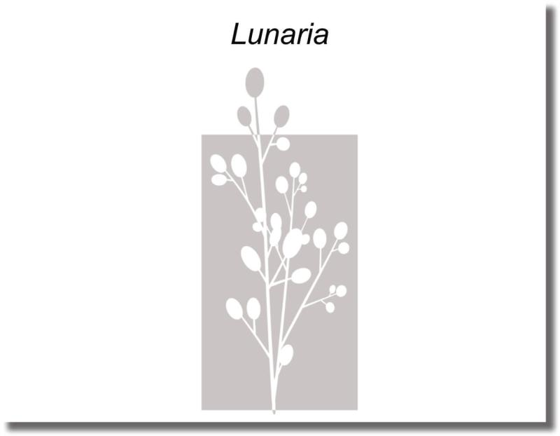 Glasdekorfolie Lunaria grosse Blüten mit geschlossener Fläche Technik