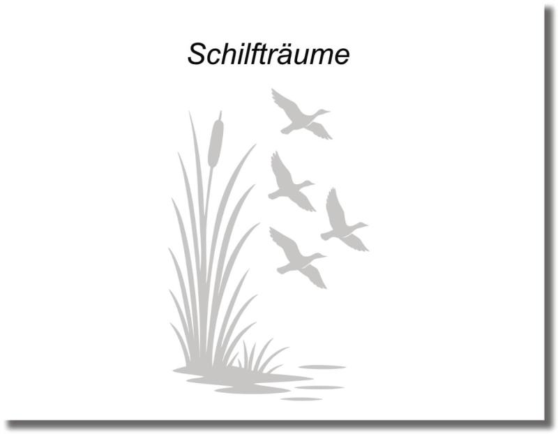 duschtuerfolie schilftraeume