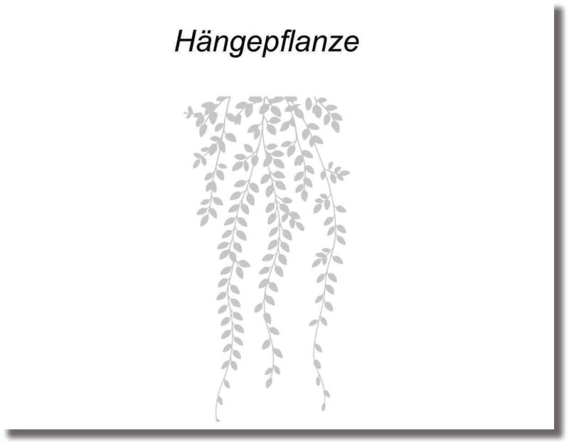Glastürfolie haengepflanze