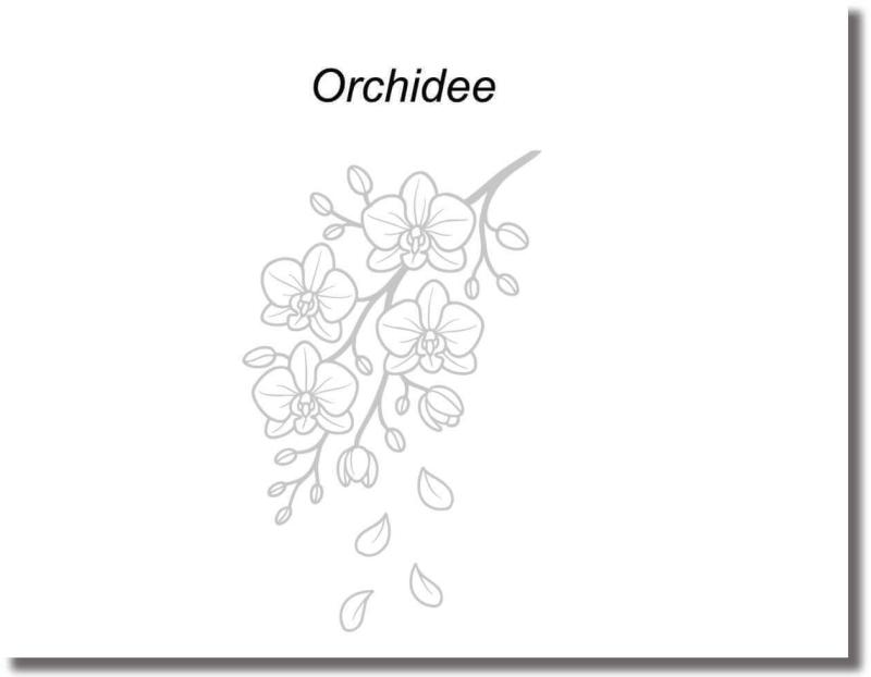 Glastürfolie orchideenast