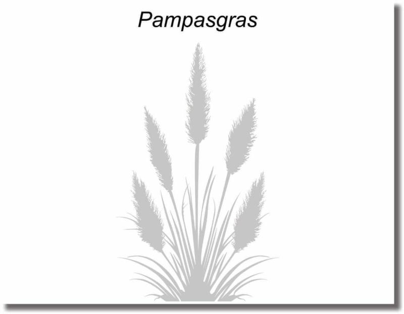duschtuerfolie pampasgras