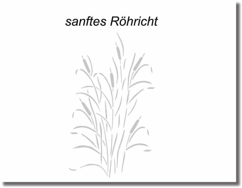 glasdekorfolie sanftes Röhricht Schilf