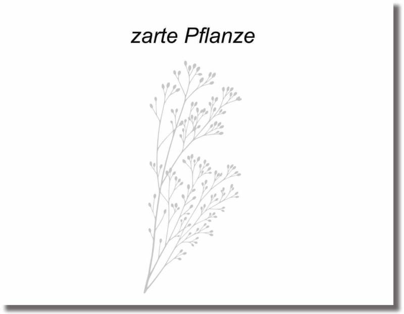 Glastürfolie zarte pflanze