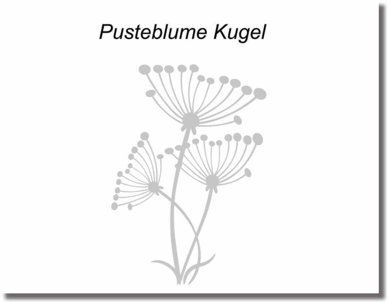 galstuerfolie pusteblume kugelform.
