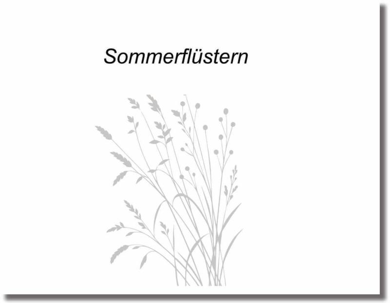 Glastürfolie sommerfluestern