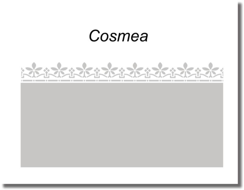 Fensterfolie Cosmea sichtschutz mit borduere