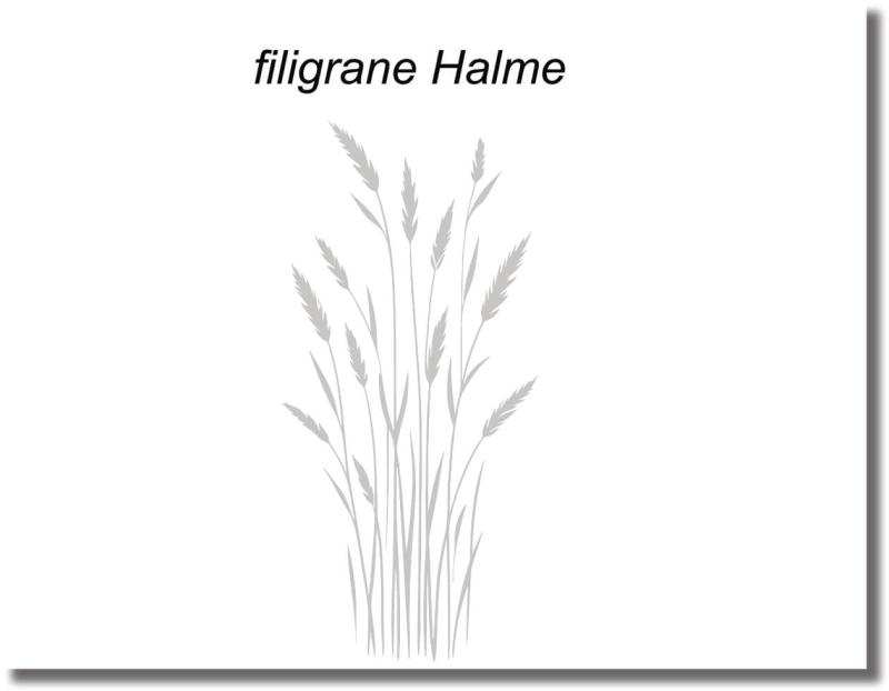 Glastürfolie  mit filigranen Grashalmen