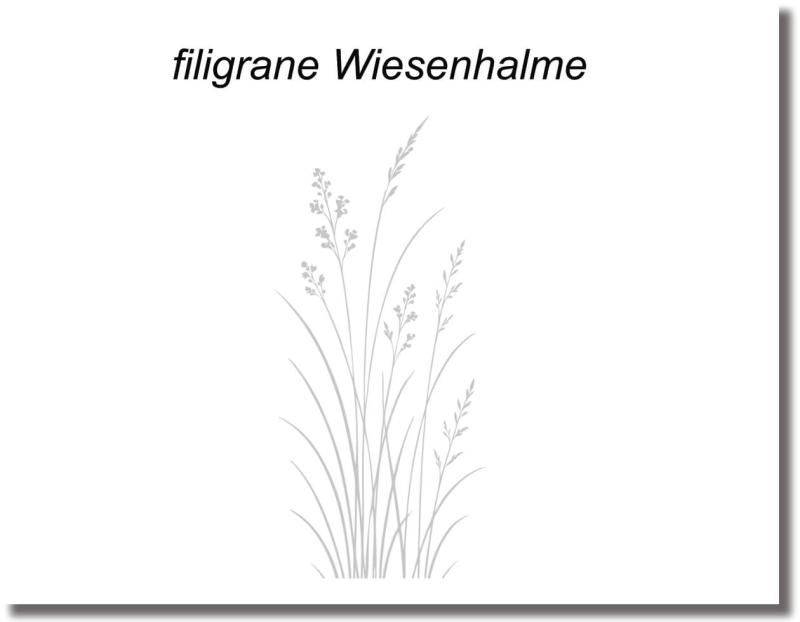 türschutzfolie  filigrane Wiesenhalme